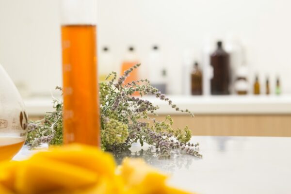 مقدمة في الطب البديل والعلاجات الطبيعية